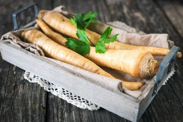 Frische Wurzeln Petersilie — Stockfoto