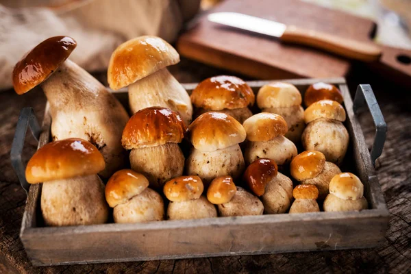 Champignons Porcini Crus Sur Fond Bois — Photo