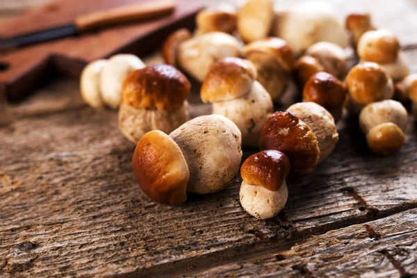 Champignons Porcini Crus Sur Fond Bois — Photo