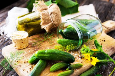 Rustik masada Marine salatalık turşusu kavanoz yakın çekim
