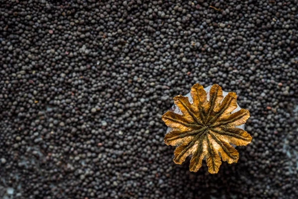 Сушеные Семян Мака Фон Вид Сверху — стоковое фото