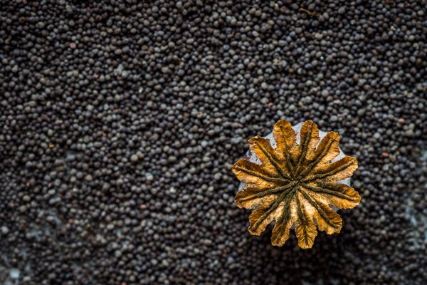 Dried poppy seeds background, top view