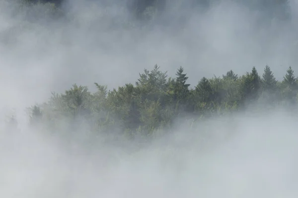 Ομίχλη Που Καλύπτει Πράσινο Δάσος Στα Βουνά — Φωτογραφία Αρχείου