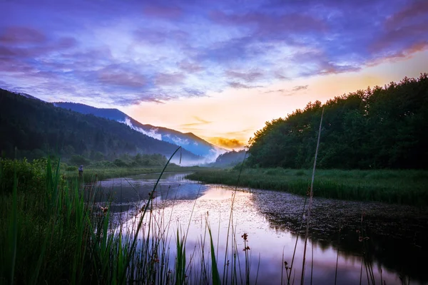 Mglisty River Wczesnym Rankiem Tle Pięknej Przyrody — Zdjęcie stockowe
