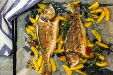 ızgara gilt kafa çipura