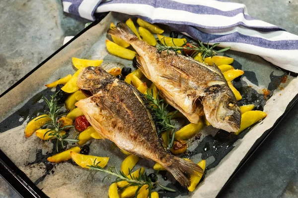 Dorada a la parrilla — Foto de Stock