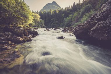 Yeşil ormandaki nehir dağ manzaralı görünüm