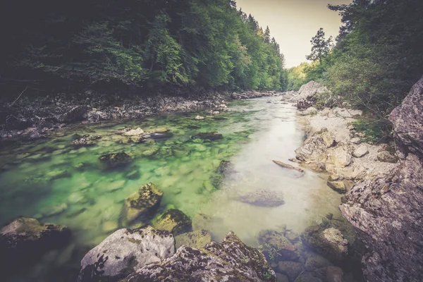 Vista Panoramica Del Fiume Montagna Nel Verde Della Foresta — Foto Stock