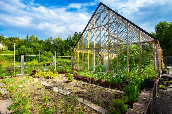 Växthus Med Ekologiska Växter Vacker Dag — Stockfoto