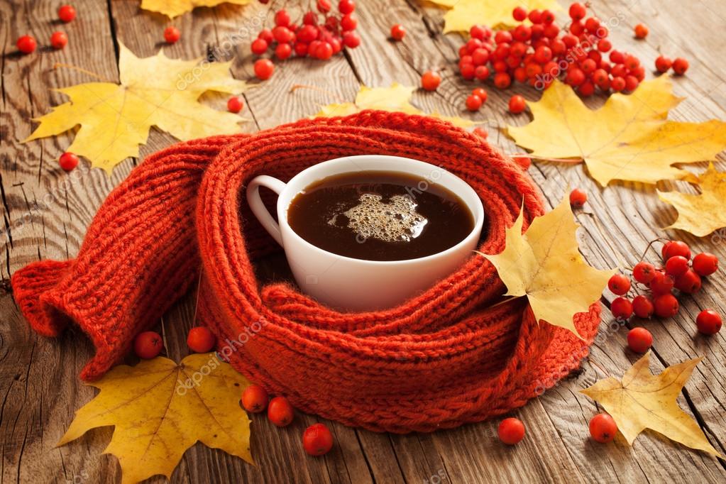 https://st3.depositphotos.com/1000348/12804/i/950/depositphotos_128045720-stock-photo-concept-autumn-cup-of-coffee.jpg