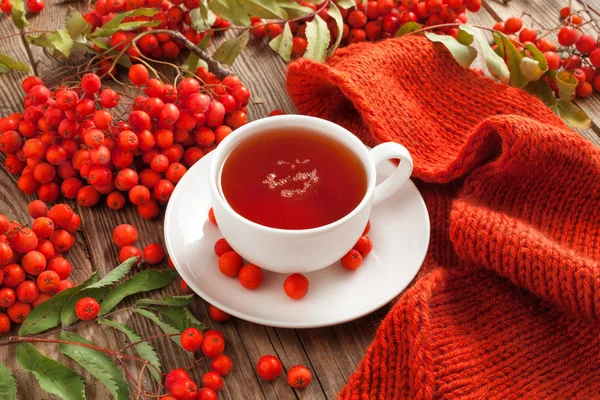 Conceito de outono. Uma xícara de chá quente aromatizado com um lenço e rowan — Fotografia de Stock