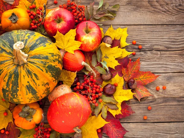 Autumn Still Life. Zucca, mele e foglie autunnali gialle su t — Foto Stock