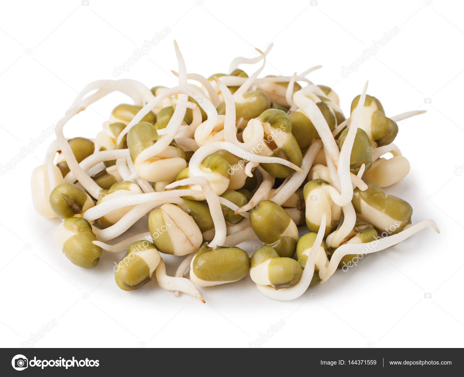 Are Lentil Sprouts Safe For Dogs