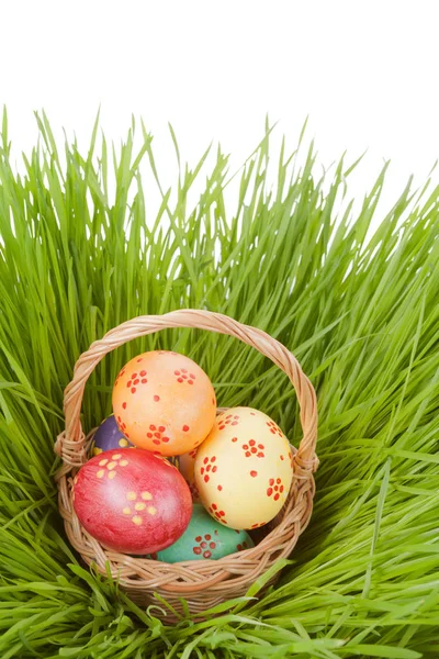 Easter egg in basket on spring green grass — Stock Photo, Image