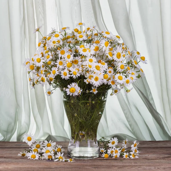 Glasvas med kamomillblommor på träbord — Stockfoto