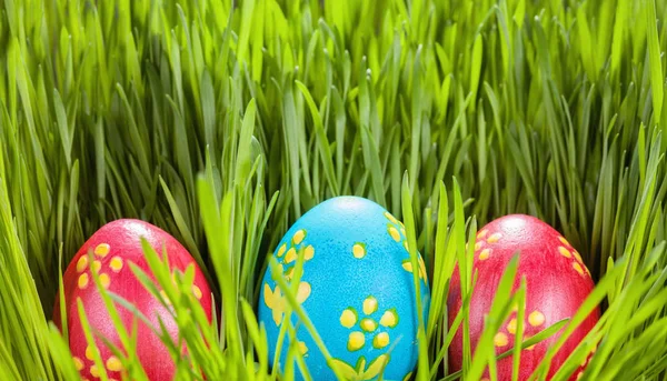 Velikonoční vajíčka na zelené trávě. Jarní koncept. — Stock fotografie
