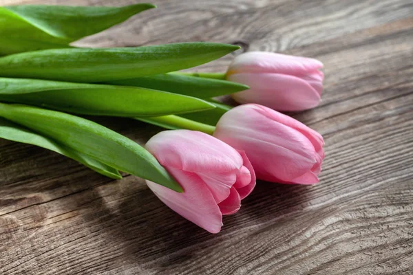 Banda jarních tulipánů na staré desce — Stock fotografie