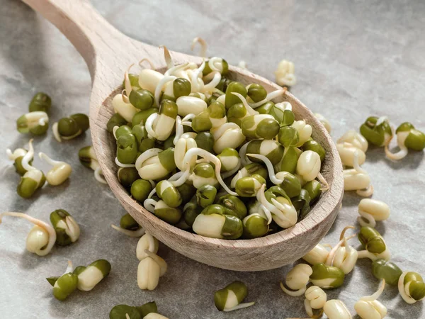 Alimentación saludable. Lentejas germinadas en una cuchara de madera . —  Fotos de Stock