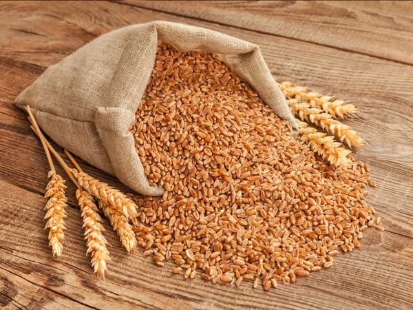 Grão de trigo em um saco e picos na mesa — Fotografia de Stock
