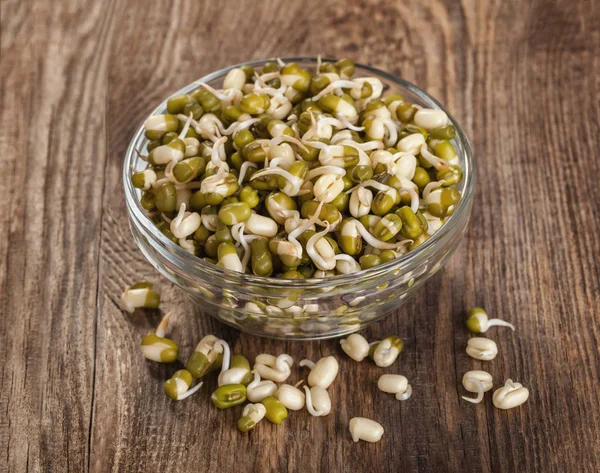 Gezond eten. Gekiemde linzen in een glazen kom. — Stockfoto