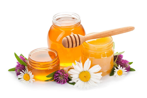 мед, маргаритки и клевер изолированы на белом фоне
.