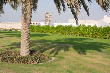 hurma ve gölge, Dubai, 09/2016, karayolu boyunca, 