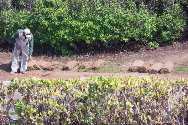 İşçi çim ile Rulo çim, Dubai, 09/2016, alan hotel Atlantis üzerinde temizler
