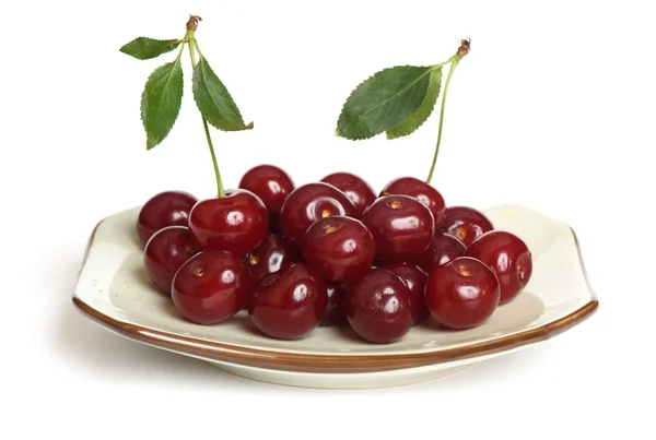 Cereza aislada sobre fondo blanco — Foto de Stock