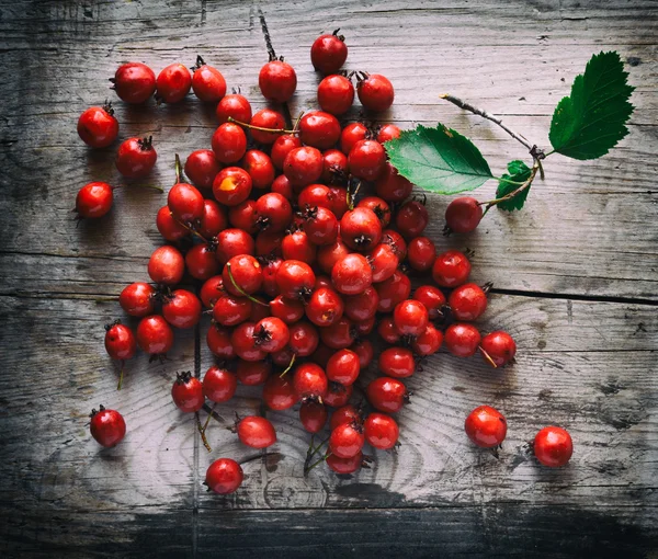 Hawthorn berries on a wooden background — Stock Photo, Image