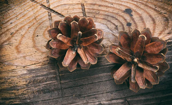 Cones de pinheiro em fundo de madeira — Fotografia de Stock