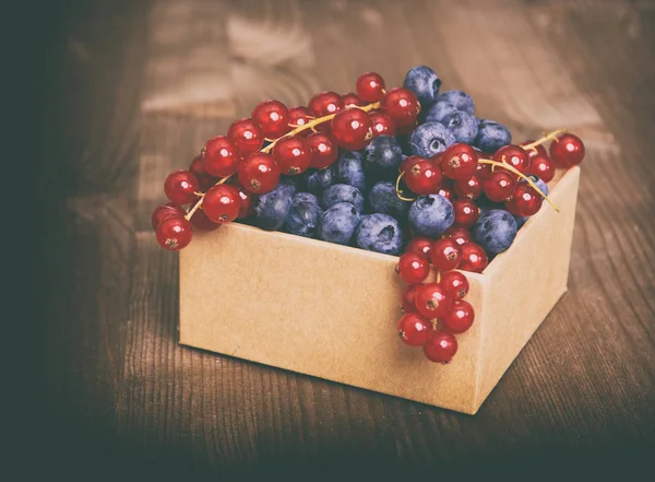 Baies bleues et groseille rouge en boîte — Photo