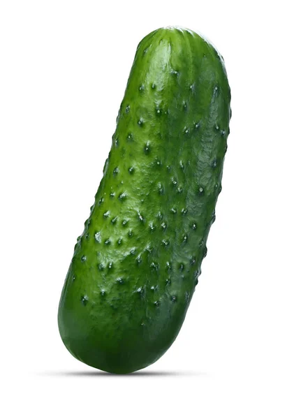 鲜绿色黄瓜 — 图库照片