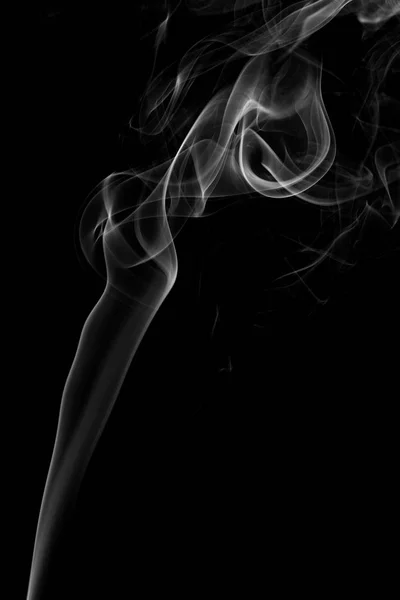 Witte rook geïsoleerd op zwart — Stockfoto