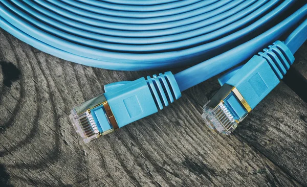 Rj45 コネクタ付きネットワーク ケーブル — ストック写真