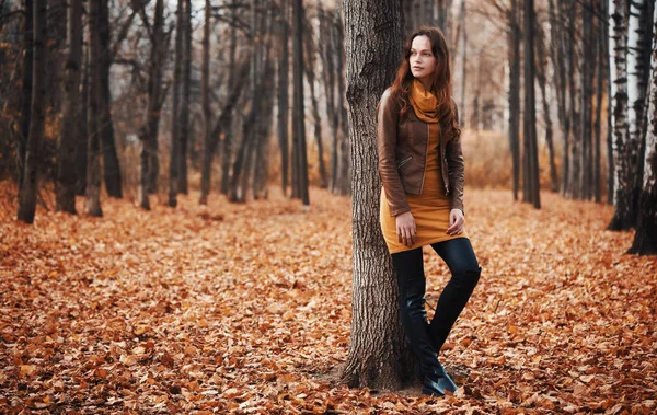 Wanita cantik di taman musim gugur — Stok Foto