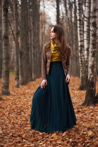 All'aperto ritratto di una bella donna nel parco autunnale — Foto Stock