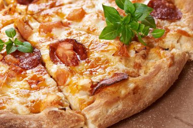 pepperoni pizza portre