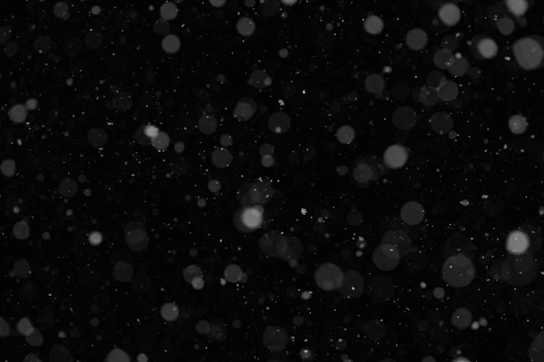 Sníh. Létající částice prachu na černé — Stock fotografie