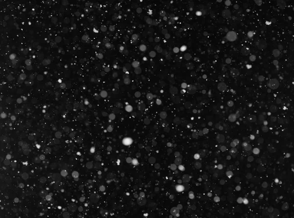 Neve. Particelle di polvere volanti su un nero — Foto Stock