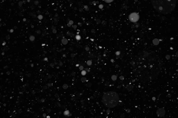 Nieve. Polvo bokeh blanco sobre fondo negro — Foto de Stock