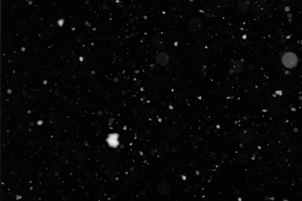 Neve. Poeira bokeh em um fundo preto — Fotografia de Stock