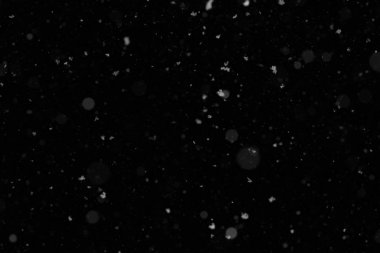 Kar yağıyor. Siyah arka planda gerçek kar taneleri düşüyor. Tasarım ögesi