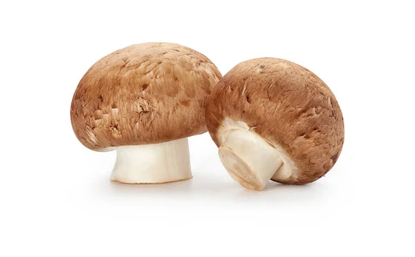 Tasty Raw Brown Champignons Isolated White Background — Stock Photo, Image