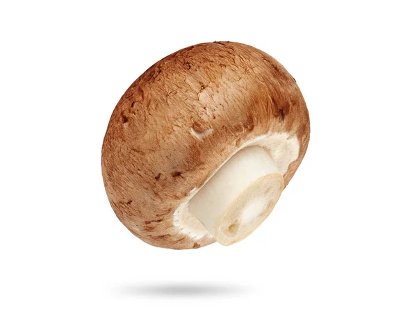 Färsk Champignon Svamp Isolerad Vitt Med Klippbana — Stockfoto