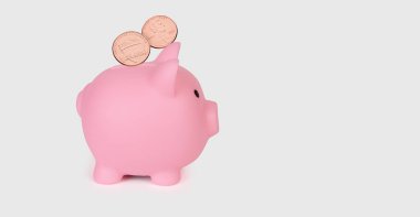 Domuz kumbarası ve para. Para kutusu beyaz arkaplanda izole edildi