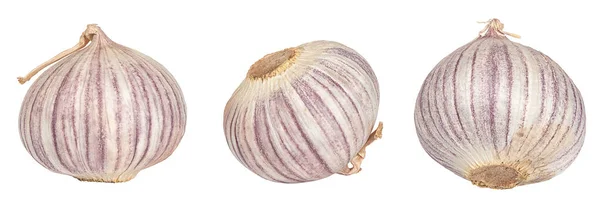 Raw Garlic Isolated White Background Clipping Path — Stock Photo, Image