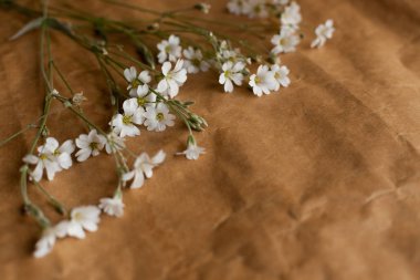 Retro kağıt doku beyaz çiçekli