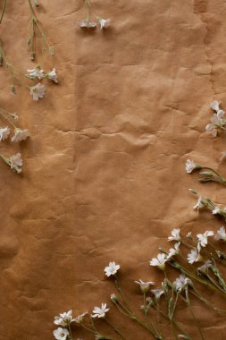 Retro kağıt doku beyaz çiçekli