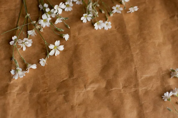 Retro kağıt doku beyaz çiçekli