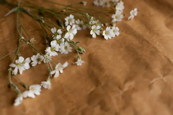 Retro kağıt doku beyaz çiçekli